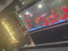 -臻享养生·SPA·影院式足道(汇臻店)