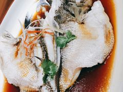 清蒸鲈鱼-北平盛世·新京菜·北京烤鸭(劲松·双井店)