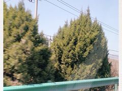 -法门文化景区