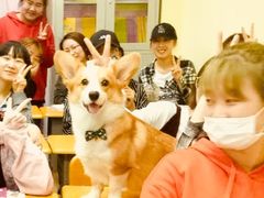 -韩通韩国语学院(虹口校区)