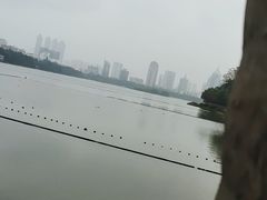 -南宁南湖公园