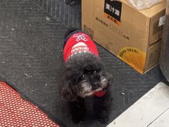 -柠静私家菜(石板巷店)