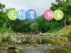 -杨梅坑