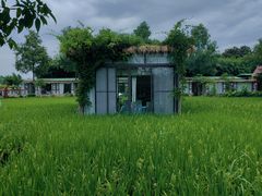 -洪湖家庭农场·团建·露营·会议