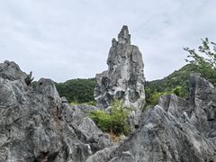 -千岛湖石林