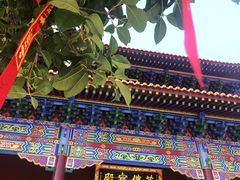 -宝通禅寺