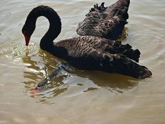 -漩门湾国家湿地公园