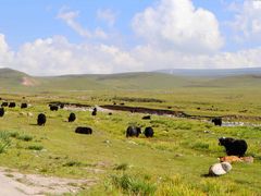 -青海湖国家重点风景名胜区