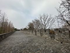 -水绘园
