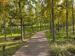 -汉长安城未央宫国家考古遗址公园