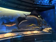 -陕西自然博物馆