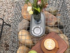 -自由生长植物工作室(深港花卉中心店)