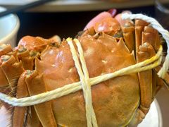 -蟹天蟹地农家菜·阳澄湖大闸蟹(浅水湾店)