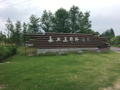 -上海长兴岛郊野公园