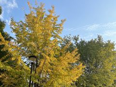 -苏州河梦清园环保主题公园