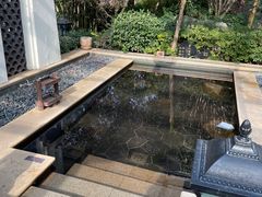 -苏州湾·王焰温泉