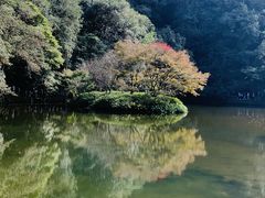 -杭州林泉山庄