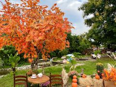 -HERRE·FARM 赫尔露营农场·团建聚会包场