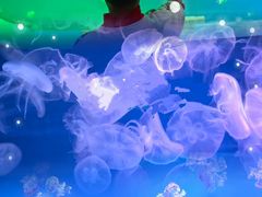 -福州罗源湾海洋世界旅游区