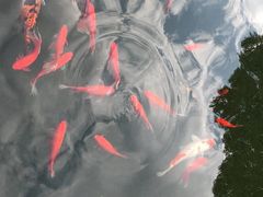 -长阳创谷