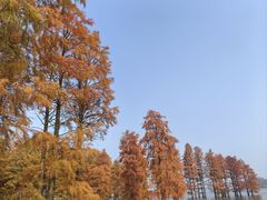 -四明湖