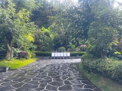 -腾冲洞山温泉村