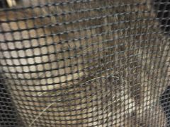 -pd派德宠物中心医院24H急重症·眼科中心·血液透析中心(嵩山北路店)