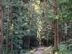 -冶父山国家森林公园
