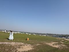 -盐城丹顶鹤湿地生态旅游区