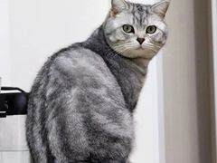 -平行世界·猫咖(首经贸店)
