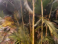 -龙达温泉生态城