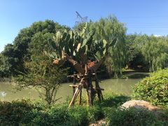 -韩湘水博园