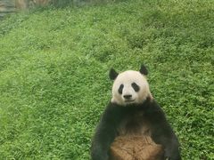 -贵州森林野生动物园