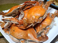 -天天鱼港·海鲜·鲅鱼水饺·招牌烤鸭(黄骅店)