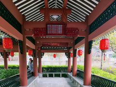-广东花都湖国家湿地公园