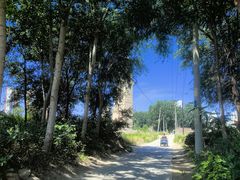 -修德寺塔