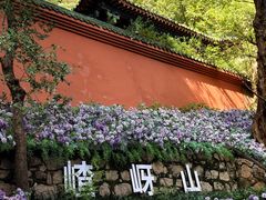-嵖岈山风景区