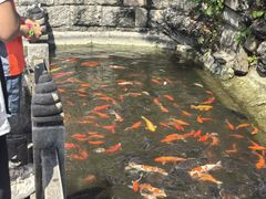 -红螺寺