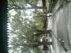 android_upload_pic-关中书院