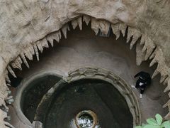 -南山植物园