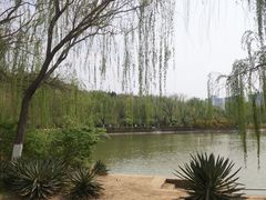 -南翠屏公园