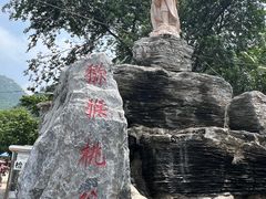 -大岭沟猕猴桃谷风景区