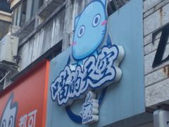 -喵的天空名猫咖啡馆·撸猫·猫舍·用品