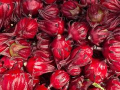 -鸽鸟轩(石岐店)