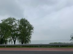 -西京湾花海