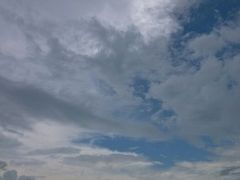 android_upload_pic-海鸥岛