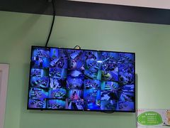 -学知乐教育·幼小衔接·小学科辅导(嘉定镇校区)