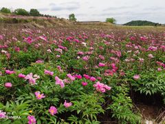 -金堂县云顶石城风景区