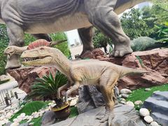 -陕西自然博物馆