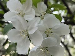 -OCT华侨城·北京